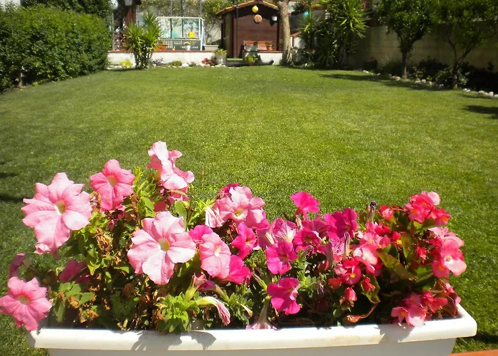 Casa Vacanze Domusangela